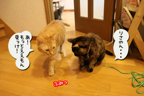 東京マラソンの準備_d0355333_19001256.jpg
