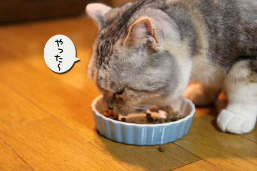 残りものには福?_d0355333_19005031.jpg