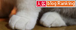 残りものには福?_d0355333_19005173.jpg