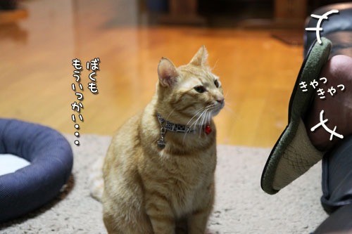 CMでおなじみの_d0355333_19015005.jpg