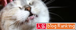 CMでおなじみの_d0355333_19015012.jpg
