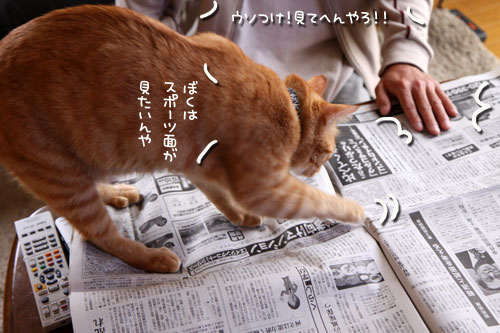 朝刊攻防戦_d0355333_19015775.jpg