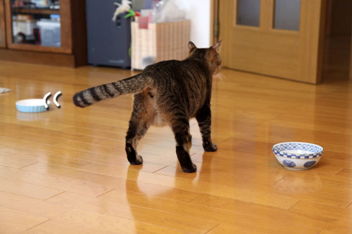 気まぐれあすか_d0355333_19020435.jpg