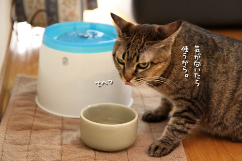気まぐれあすか_d0355333_19020459.jpg