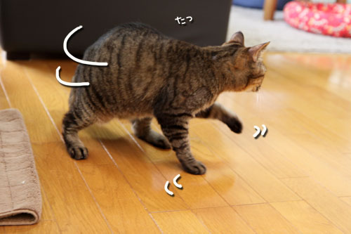 気まぐれあすか_d0355333_19020461.jpg