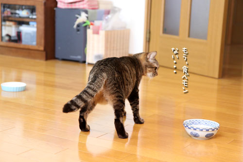 気まぐれあすか_d0355333_19020469.jpg