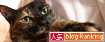 あまのじゃくな心_d0355333_19021923.jpg