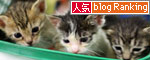 病院で出会ったちびっ子たち_d0355333_19022201.jpg