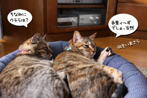 し・あ・わ・せ!_d0355333_19022742.jpg