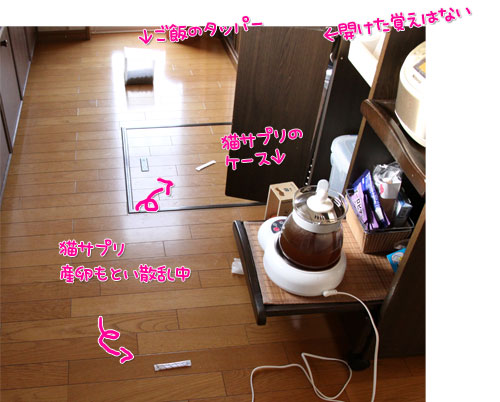悪いコトはできまい。_d0355333_19022921.jpg
