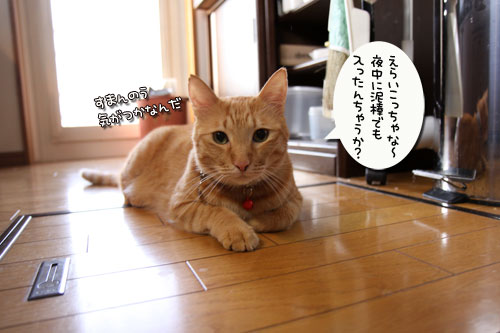 悪いコトはできまい。_d0355333_19023034.jpg