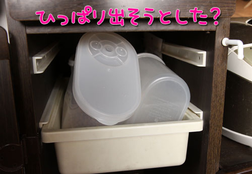 悪いコトはできまい。_d0355333_19023036.jpg