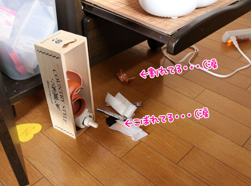 悪いコトはできまい。_d0355333_19023067.jpg