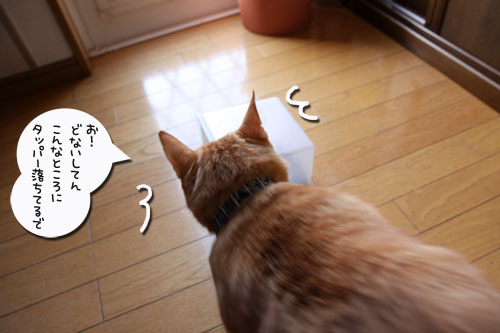 悪いコトはできまい。_d0355333_19023071.jpg