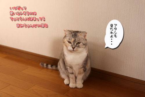 悪いコトはできまい。_d0355333_19023226.jpg