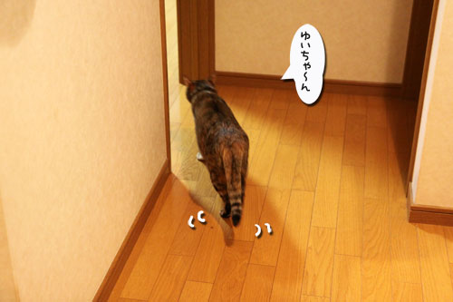 ちょっとずつでも進歩。_d0355333_19023718.jpg
