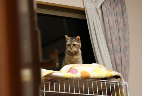 ちょっとずつでも進歩。_d0355333_19023778.jpg