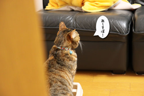 ちょっとずつでも進歩。_d0355333_19023798.jpg