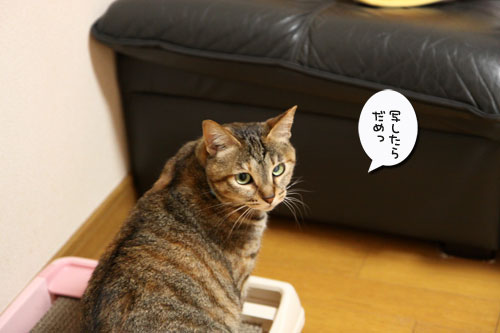 ちょっとずつでも進歩。_d0355333_19023841.jpg