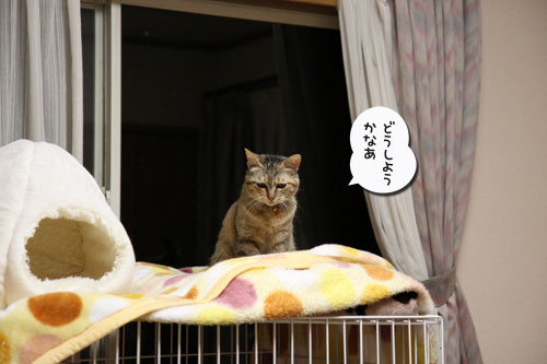 ちょっとずつでも進歩。_d0355333_19023899.jpg