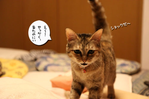ちょっとずつでも進歩。_d0355333_19023986.jpg
