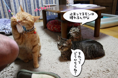 君の瞳にロックオン!_d0355333_19024661.jpg