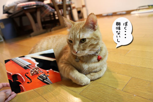 八二一さんの講習会へ★_d0355333_19025187.jpg