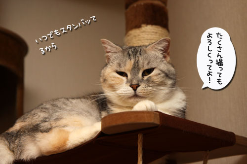 八二一さんの講習会へ★_d0355333_19025196.jpg