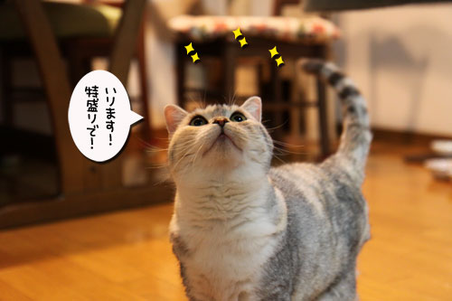 母の日ギフトは誰のもの?_d0355333_19031945.jpg