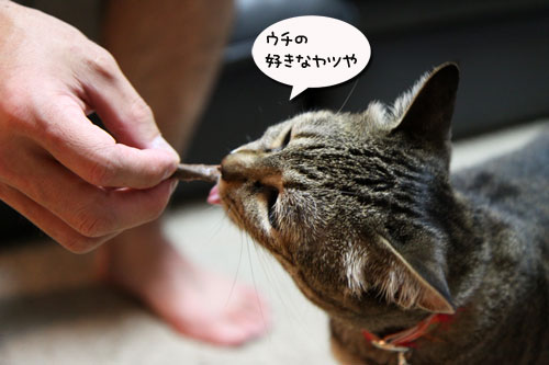 母の日ギフトは誰のもの?_d0355333_19031949.jpg
