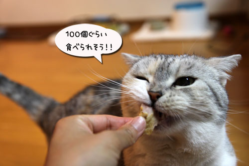 母の日ギフトは誰のもの?_d0355333_19032062.jpg
