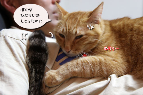 さて、軍配は・・・?_d0355333_19034793.jpg