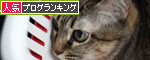 いずれ来る時_d0355333_19035103.jpg