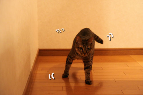 ヤキモチの行方_d0355333_19035605.jpg