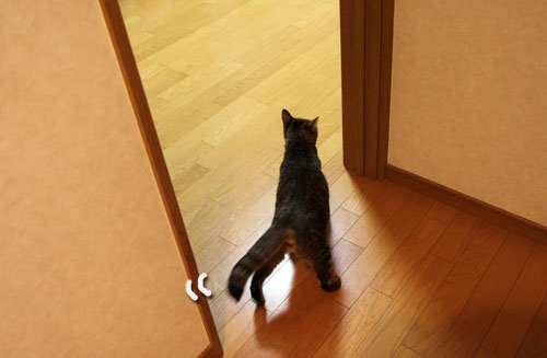 ヤキモチの行方_d0355333_19035611.jpg