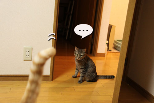 ヤキモチの行方_d0355333_19035740.jpg