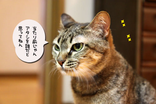 昨日は病院_d0355333_19040698.jpg