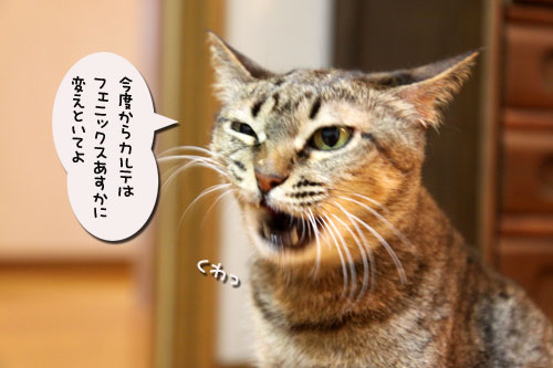 昨日は病院_d0355333_19040753.jpg