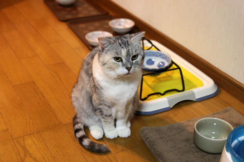 とりあえず補充したい?_d0355333_19041021.jpg