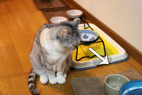 とりあえず補充したい?_d0355333_19041028.jpg