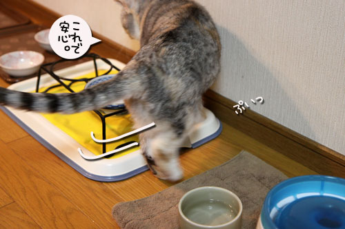 とりあえず補充したい?_d0355333_19041121.jpg