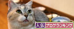 とりあえず補充したい?_d0355333_19041158.jpg