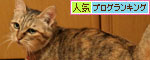 ほんとうの目的は?_d0355333_19041814.jpg