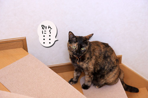 お姫様仕様_d0355333_19041932.jpg