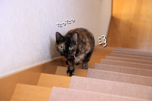 お姫様仕様_d0355333_19041949.jpg