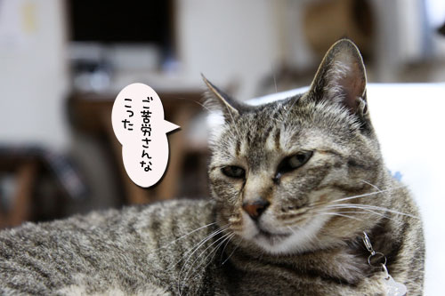のんびり週末_d0355333_19042444.jpg