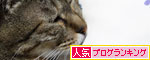 のんびり週末_d0355333_19042561.jpg