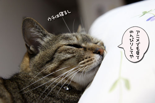 のんびり週末_d0355333_19042575.jpg