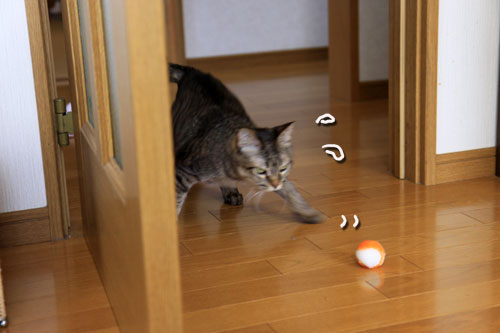 ひなたぼっこ行進_d0355333_19042833.jpg