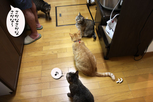 ‘ぼうず’では帰れない_d0355333_19050050.jpg
